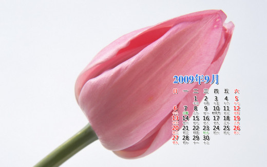476274 (a): :1440x900